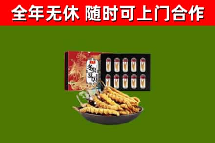 普定县烟酒回收冬虫夏草礼盒.jpg